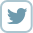 icon_twitter